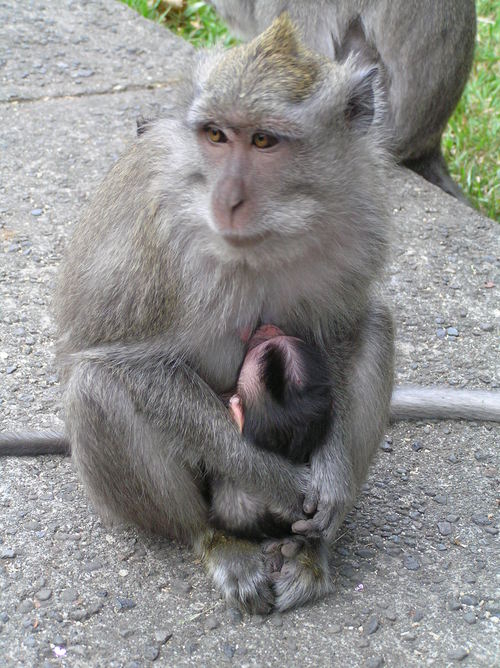 2005_indonesiatrip_261_2